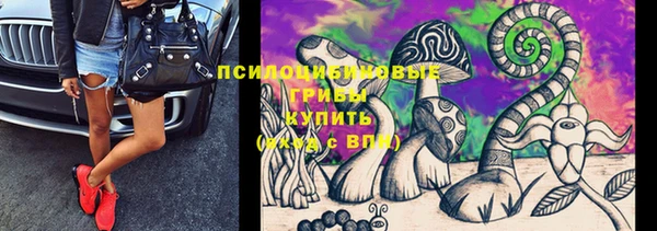 скорость Кукмор